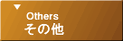 ���̑�